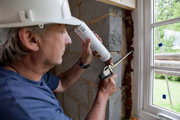 Best Wall Insulation Installation  in Holcom, KS